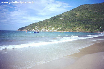Ingleses - Foto 32